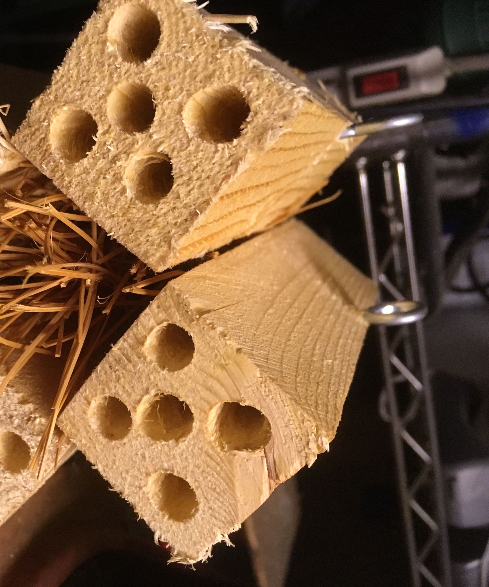 Mini Bug Condo Under an Hour Project