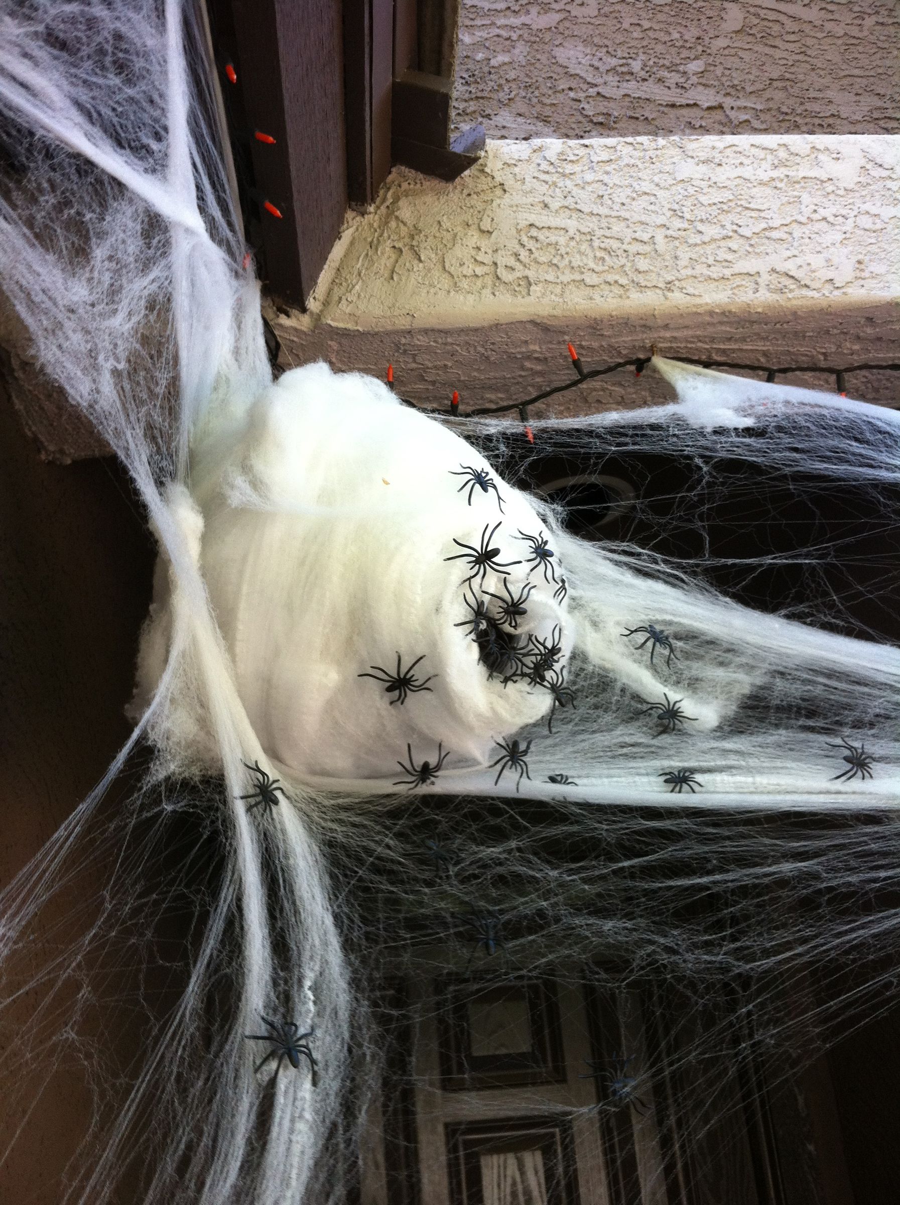 Spooky Spider Nest of Arachnophobic Delight!