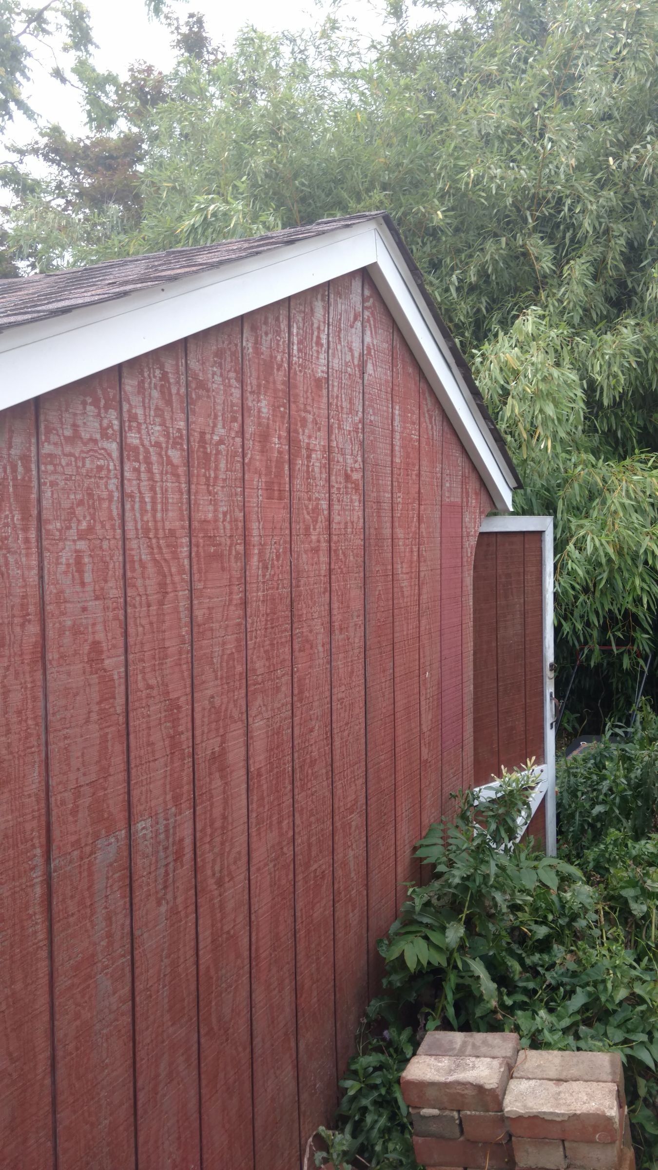 How to Hang a Bat House (on a Shed) 5 Steps (with Pictures