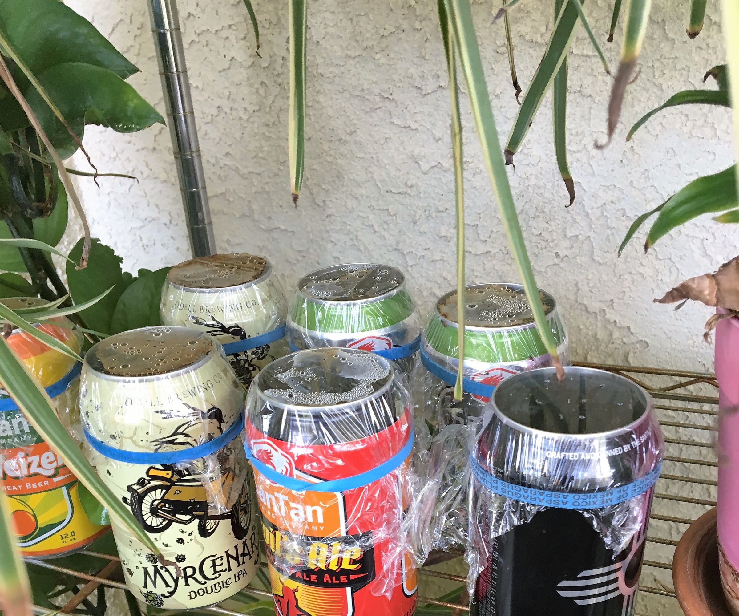 Can Planter/Seed Starter:
