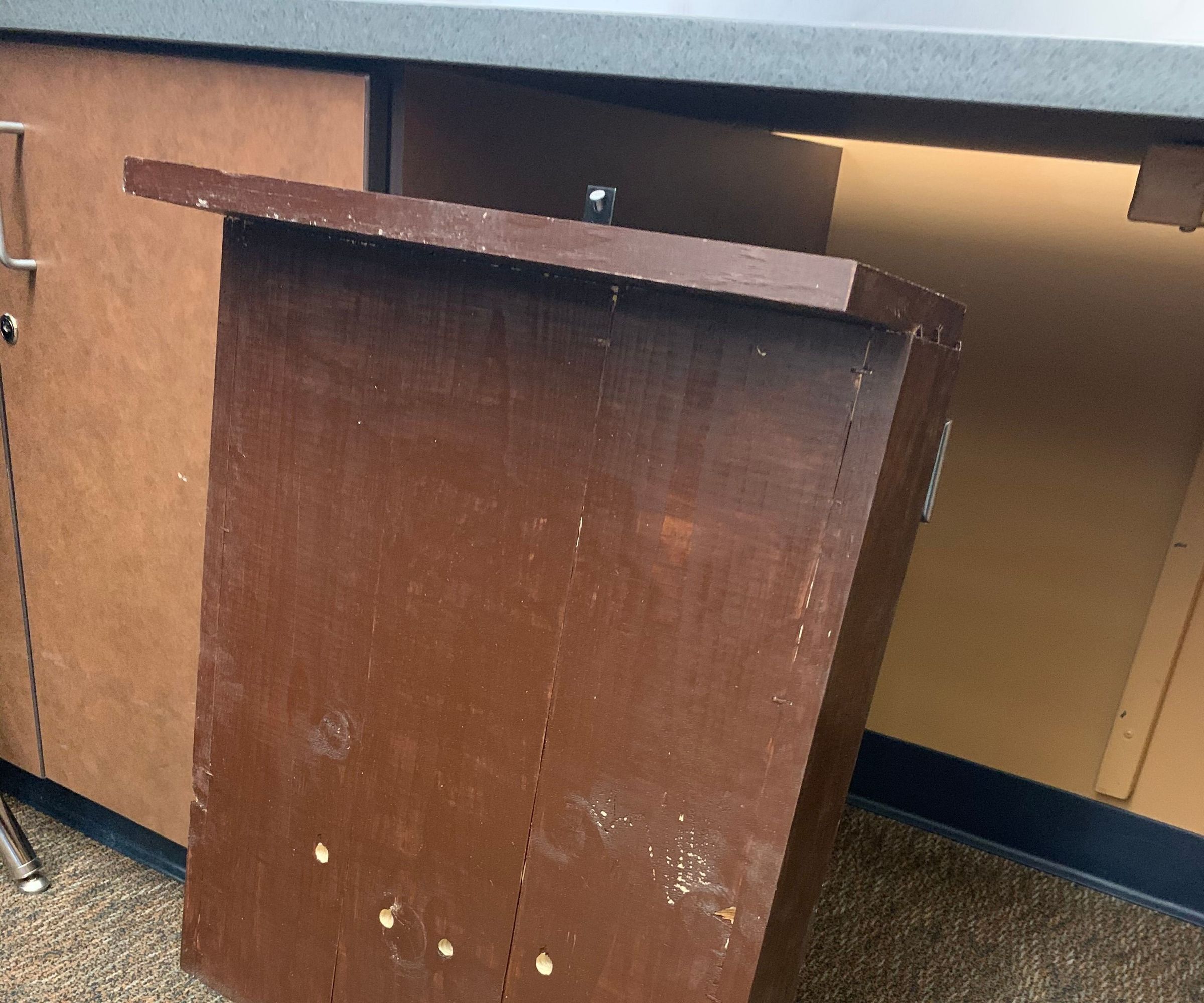 Big Brown Bat and Hoary Bat House