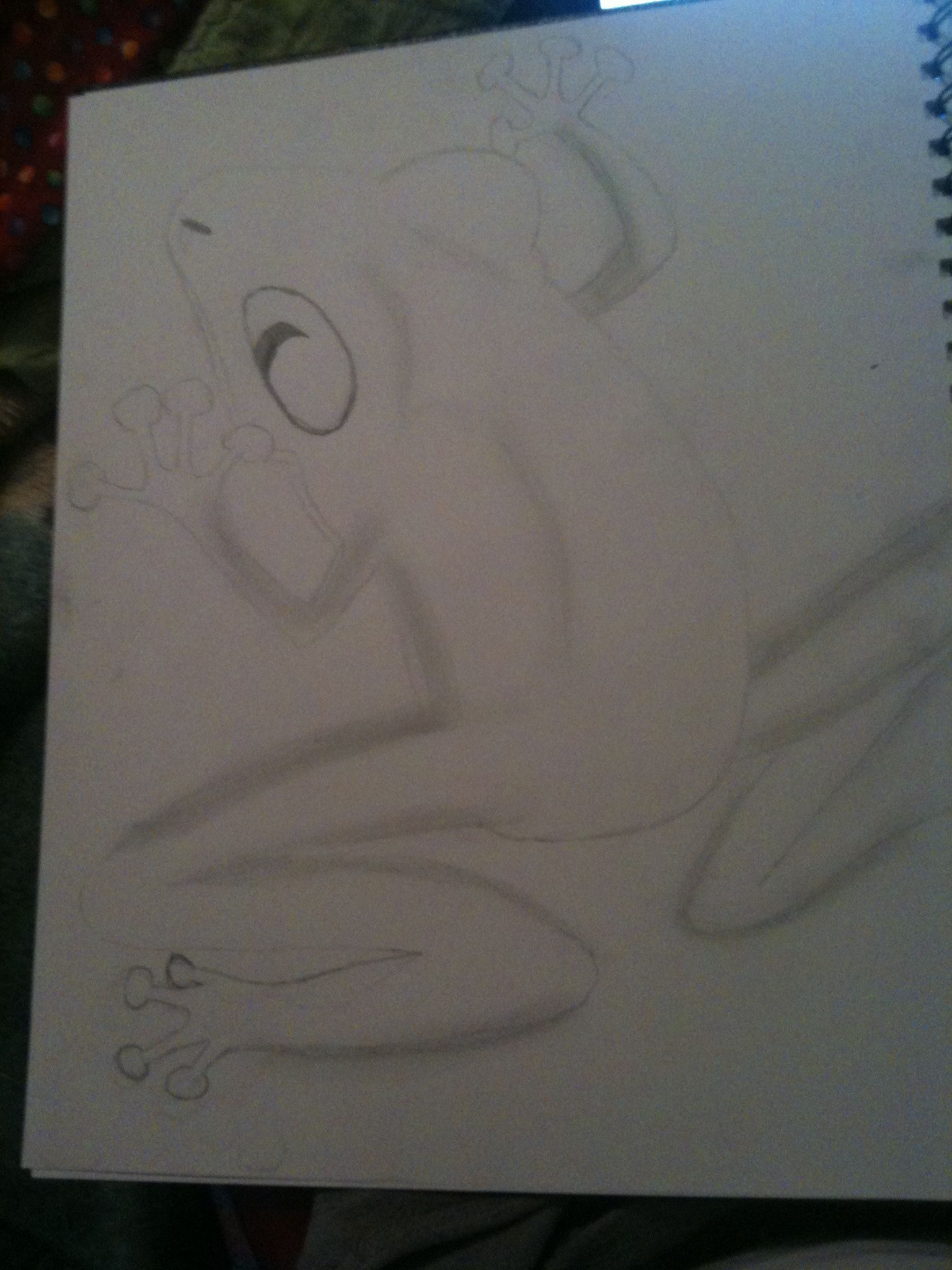 How to Draw a Frog