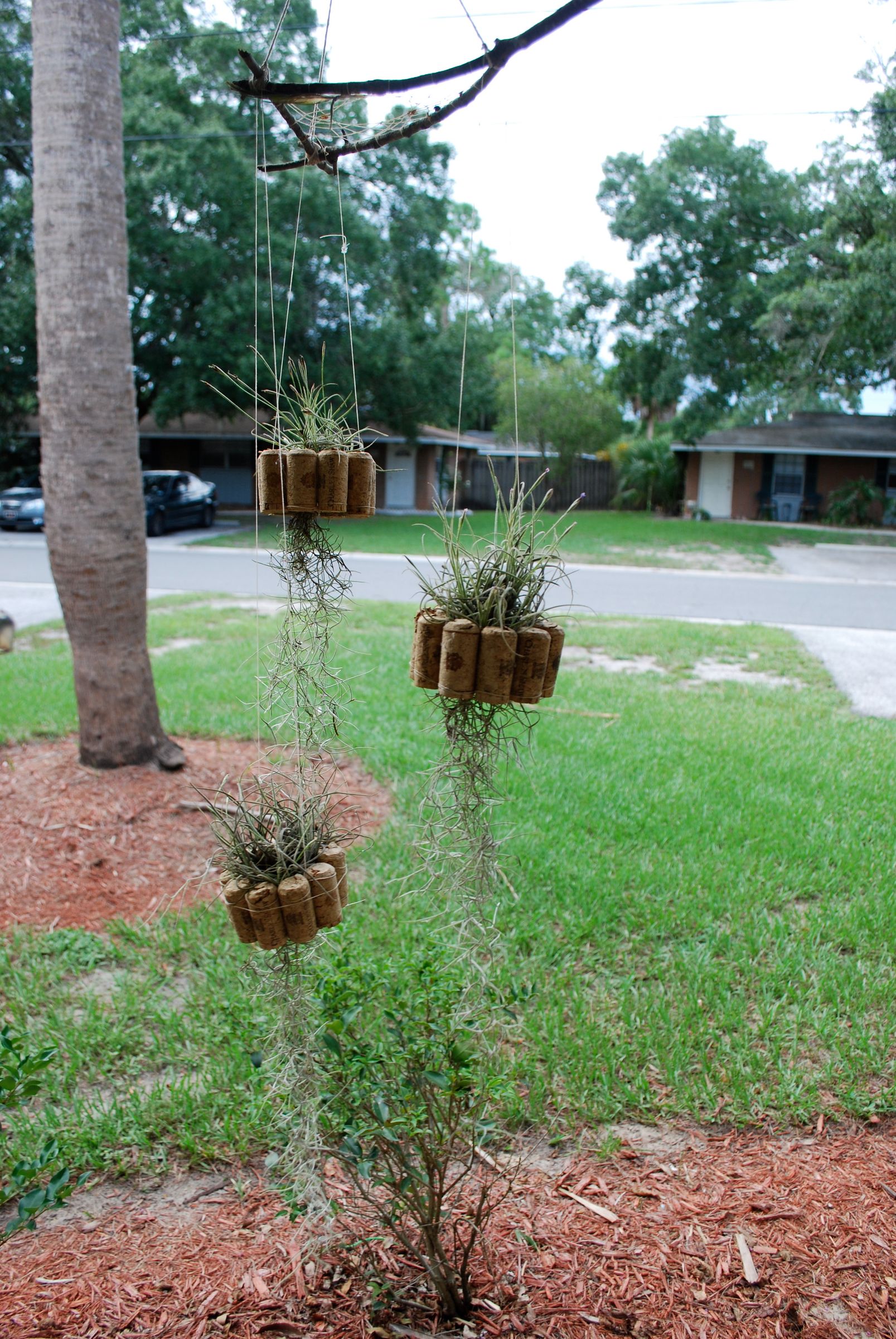 Hanging Air Plant Basket From Recycled Wine Corks : 6 Steps (with Pictures)  - Instructables