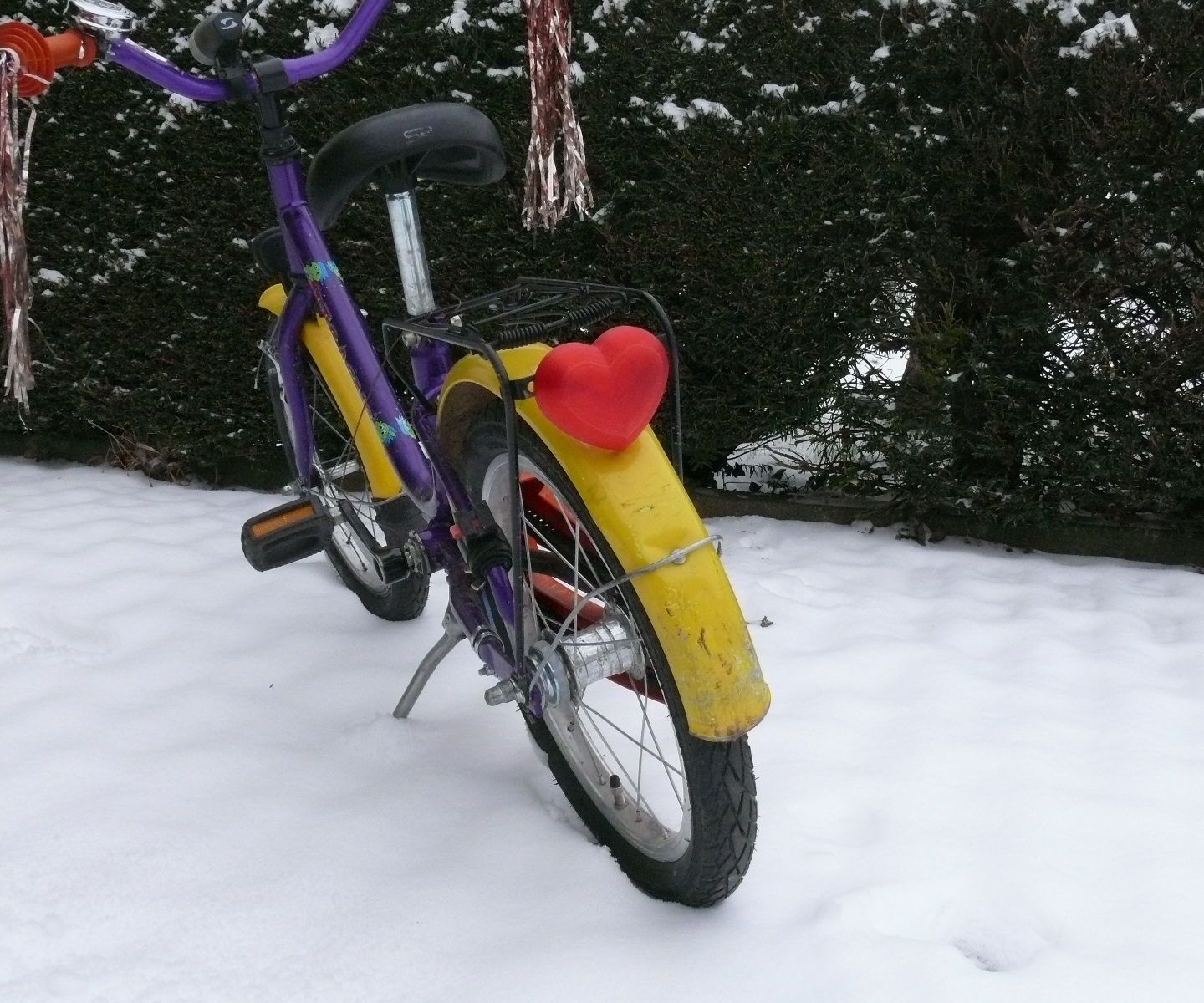A Girl's Best Bicycle Rear Light
