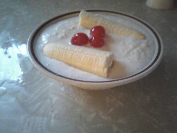 SnowMade Icecream!