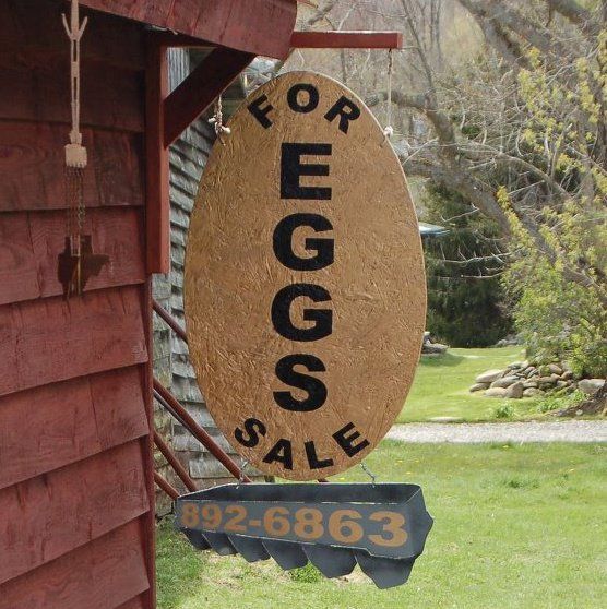 Creating a Custom Sign Board