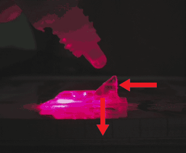 Principle and Experiment