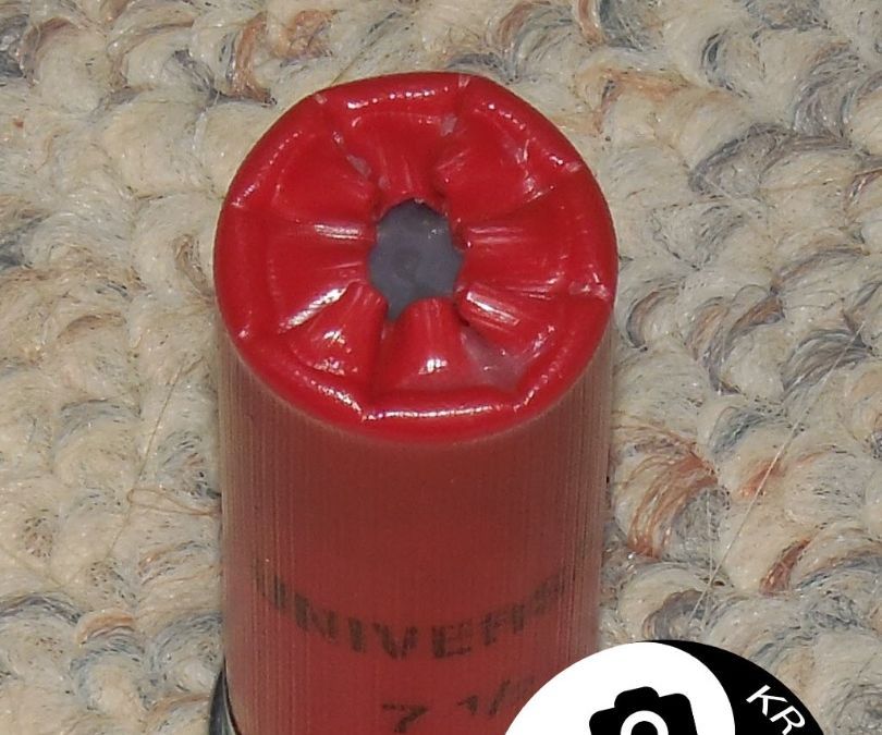 Reinforced Wax Shotgun Slug