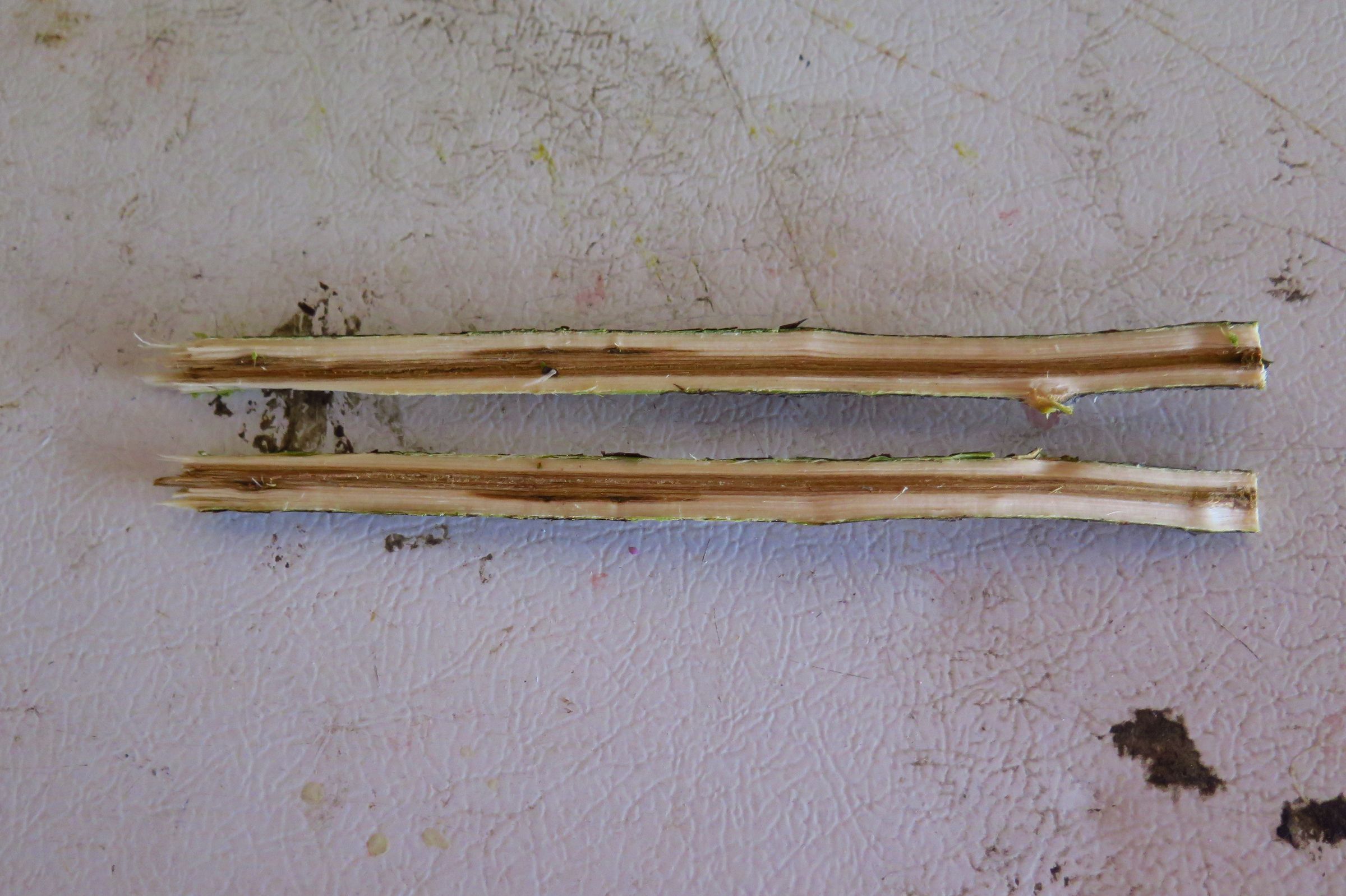 Awesome Tree Branch Pipe 9 Steps Instructables