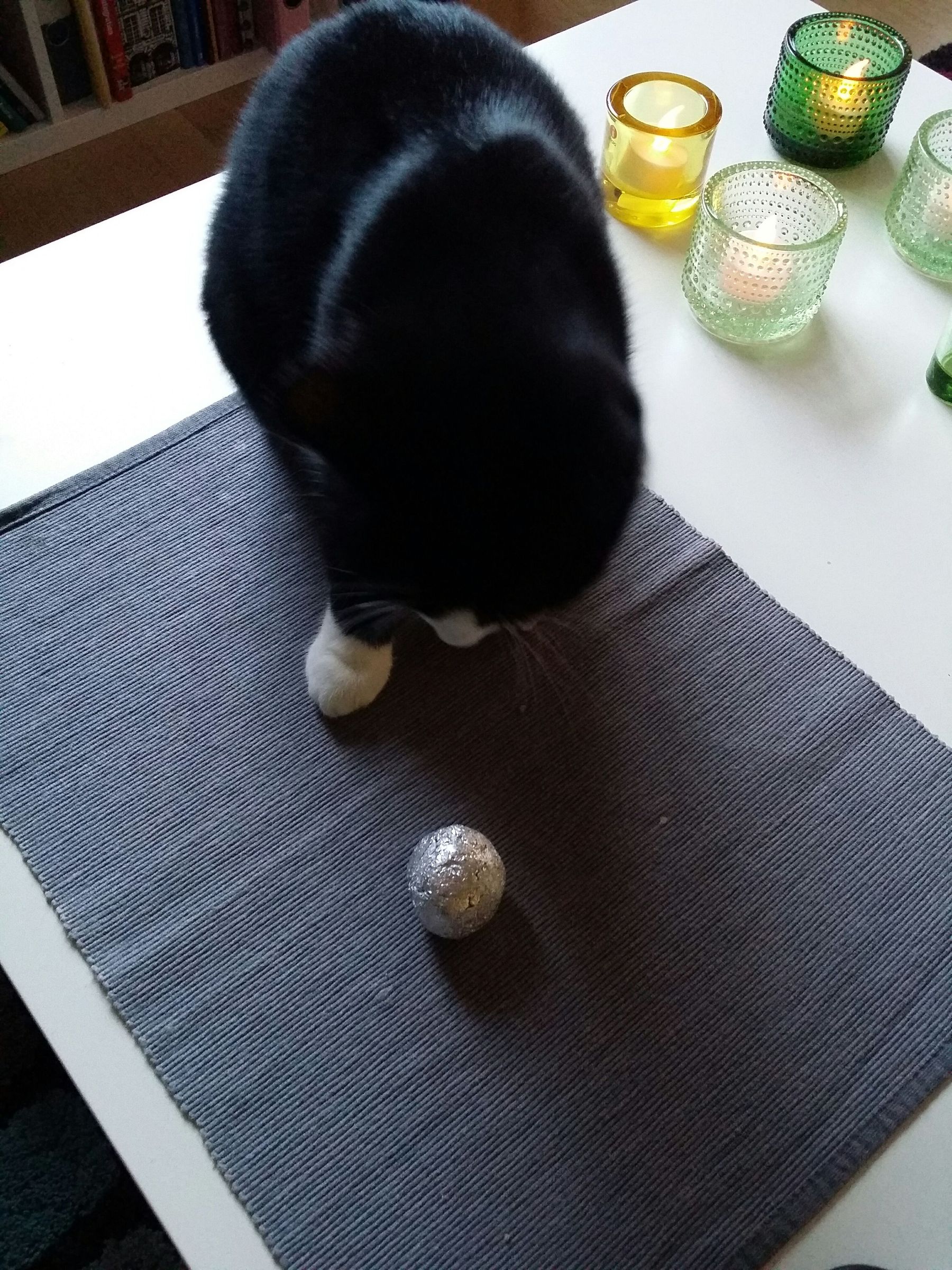 DIY Cat Toys 01: the CatoSphere