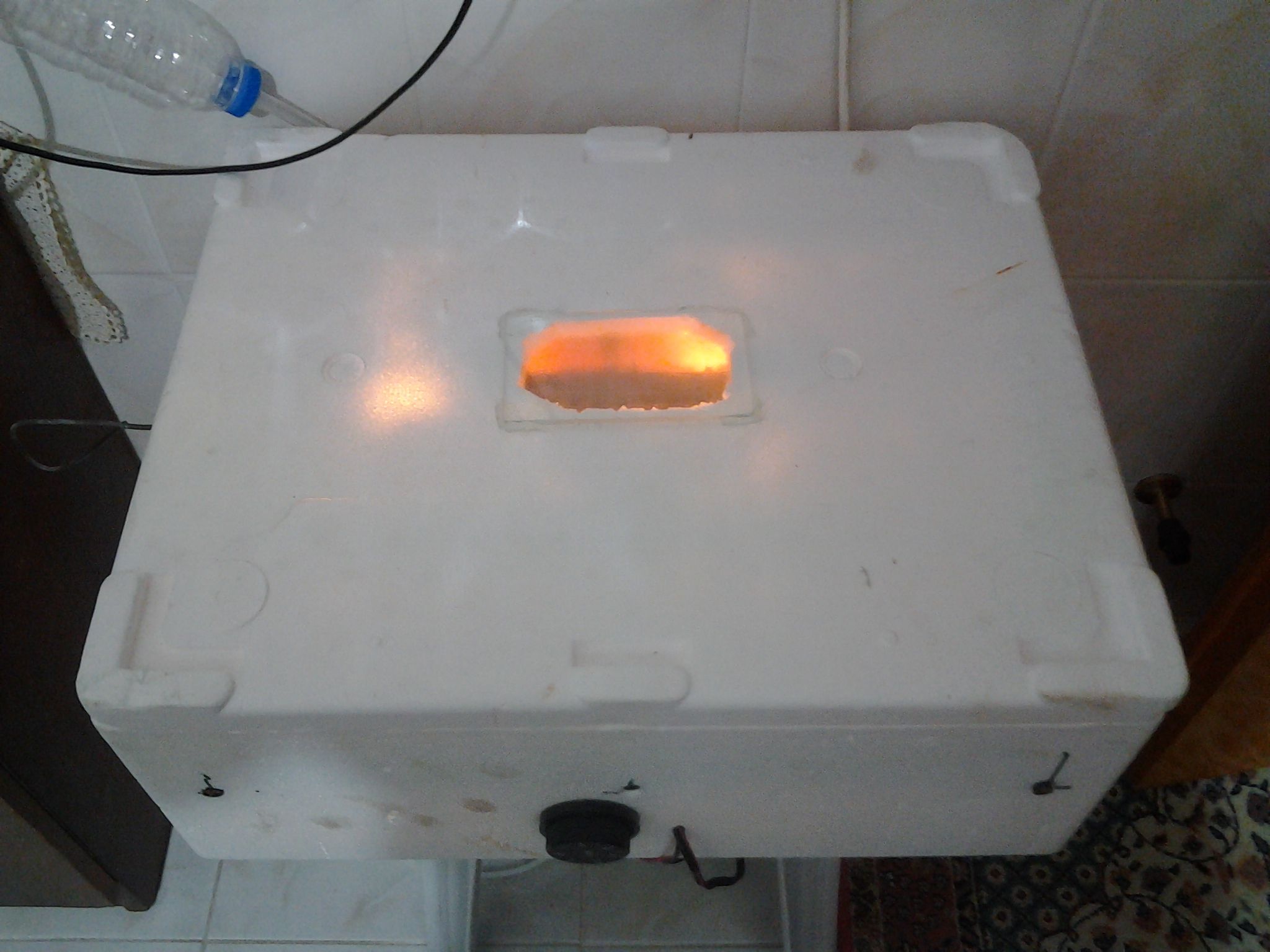 INCUBATOR