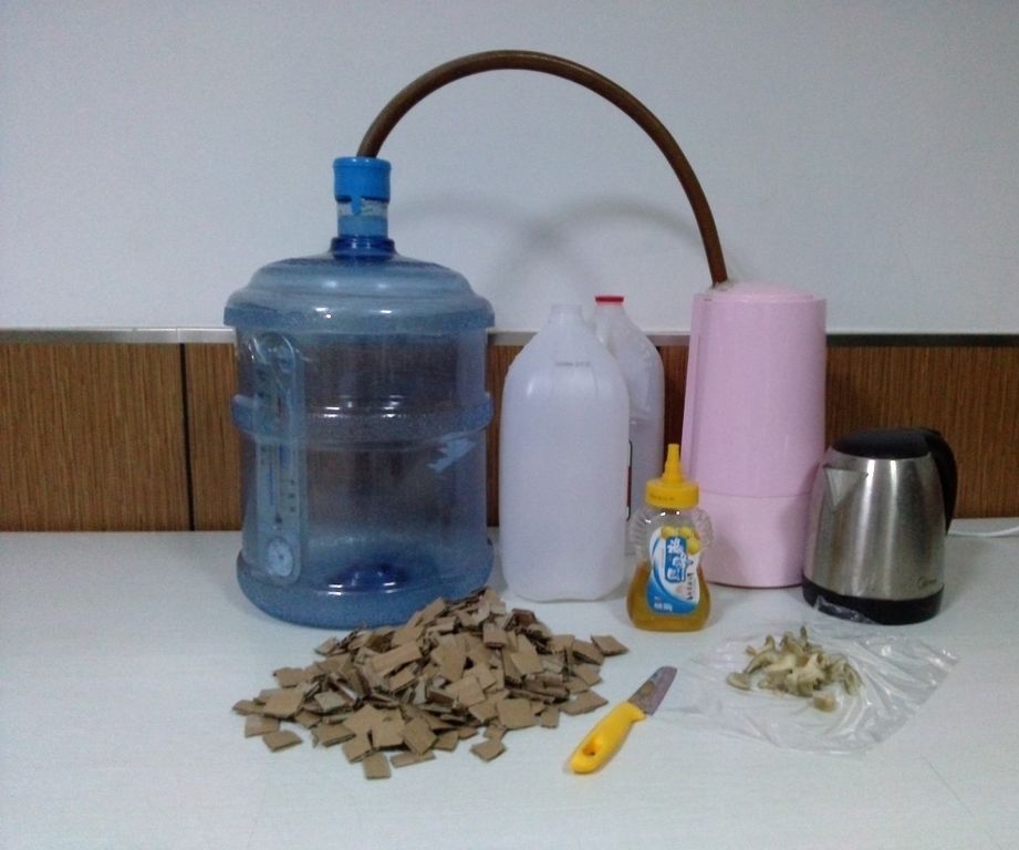 Tu propia granja de hongos