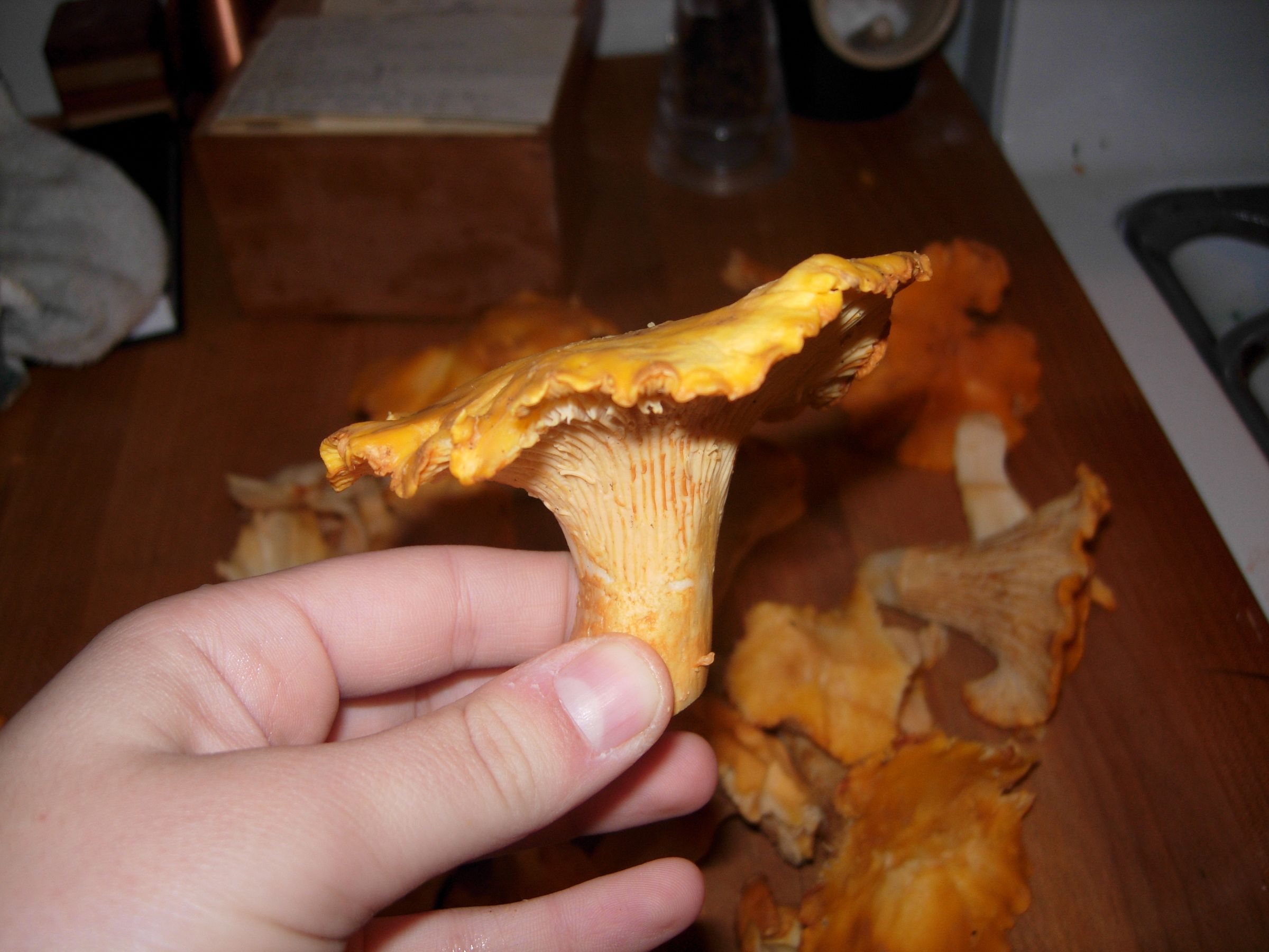 How to Dry-sautee Mushrooms for Eating or Storage!