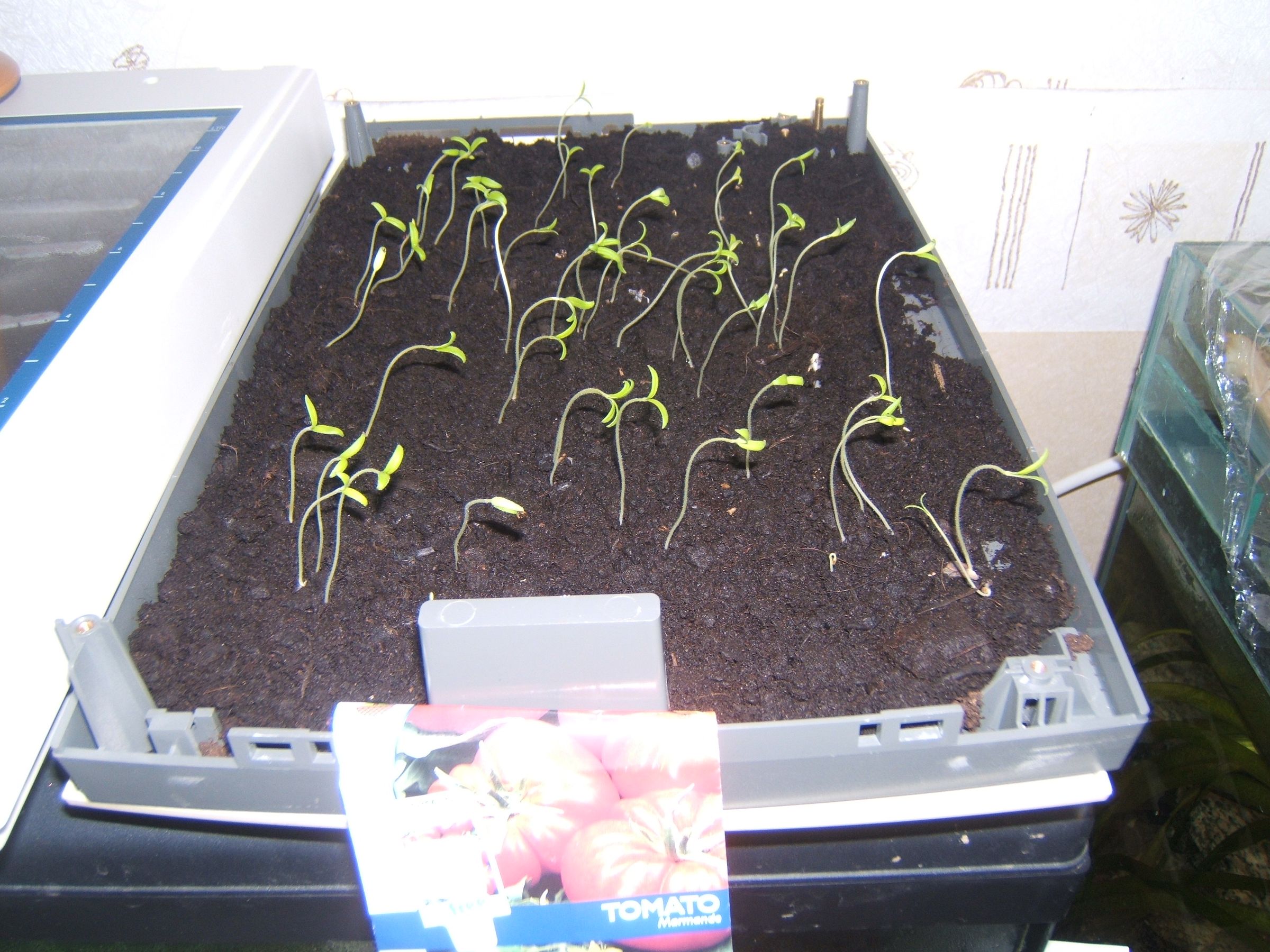 Flat Bed Scanner As a Propagator