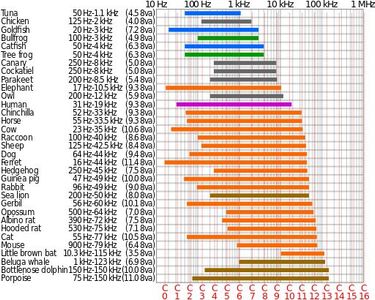 Different Frequency for Different Pests
