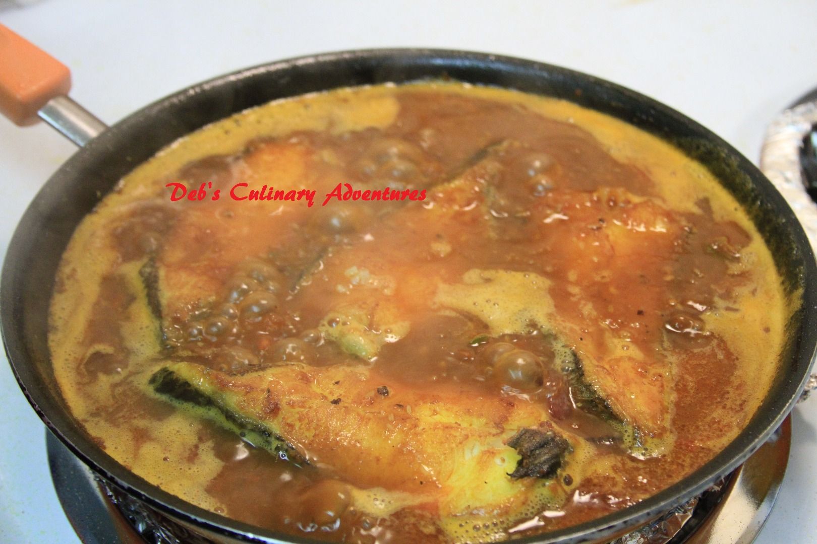 Halibut Kalia (Bengali Style Fish Curry) 10 Steps Instructables