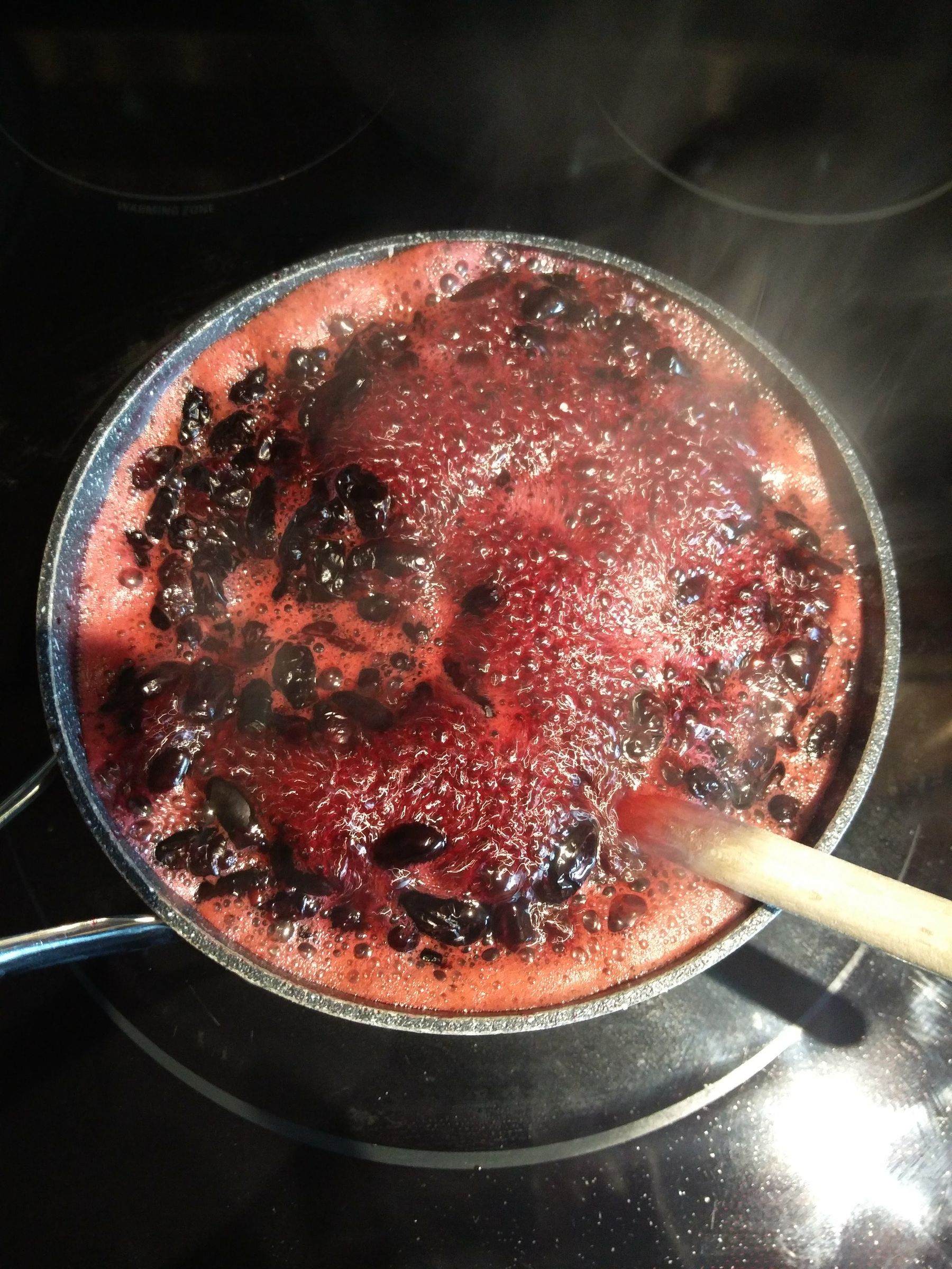 Haskap Berry Cheesecake 6 Steps (with Pictures) Instructables