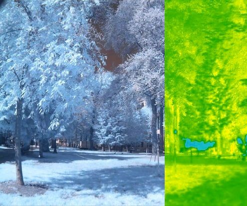 DIY Infrared Plant Analysis