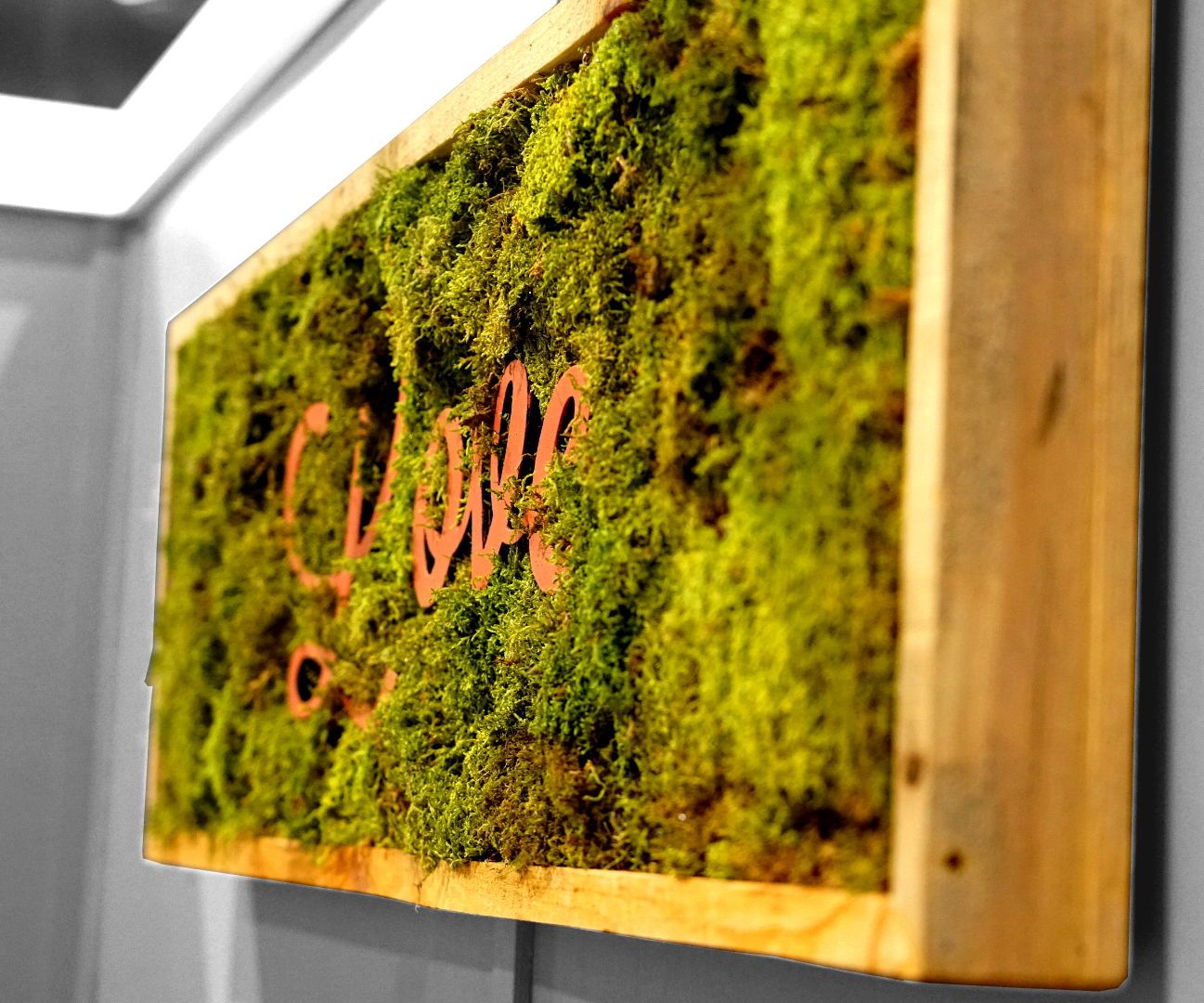 Making Inspirational Living Wall Frames
