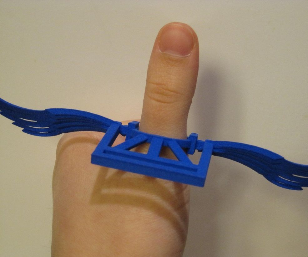 Reading Wing Ring Thing