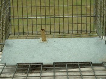 Improving a HavaHart Trap
