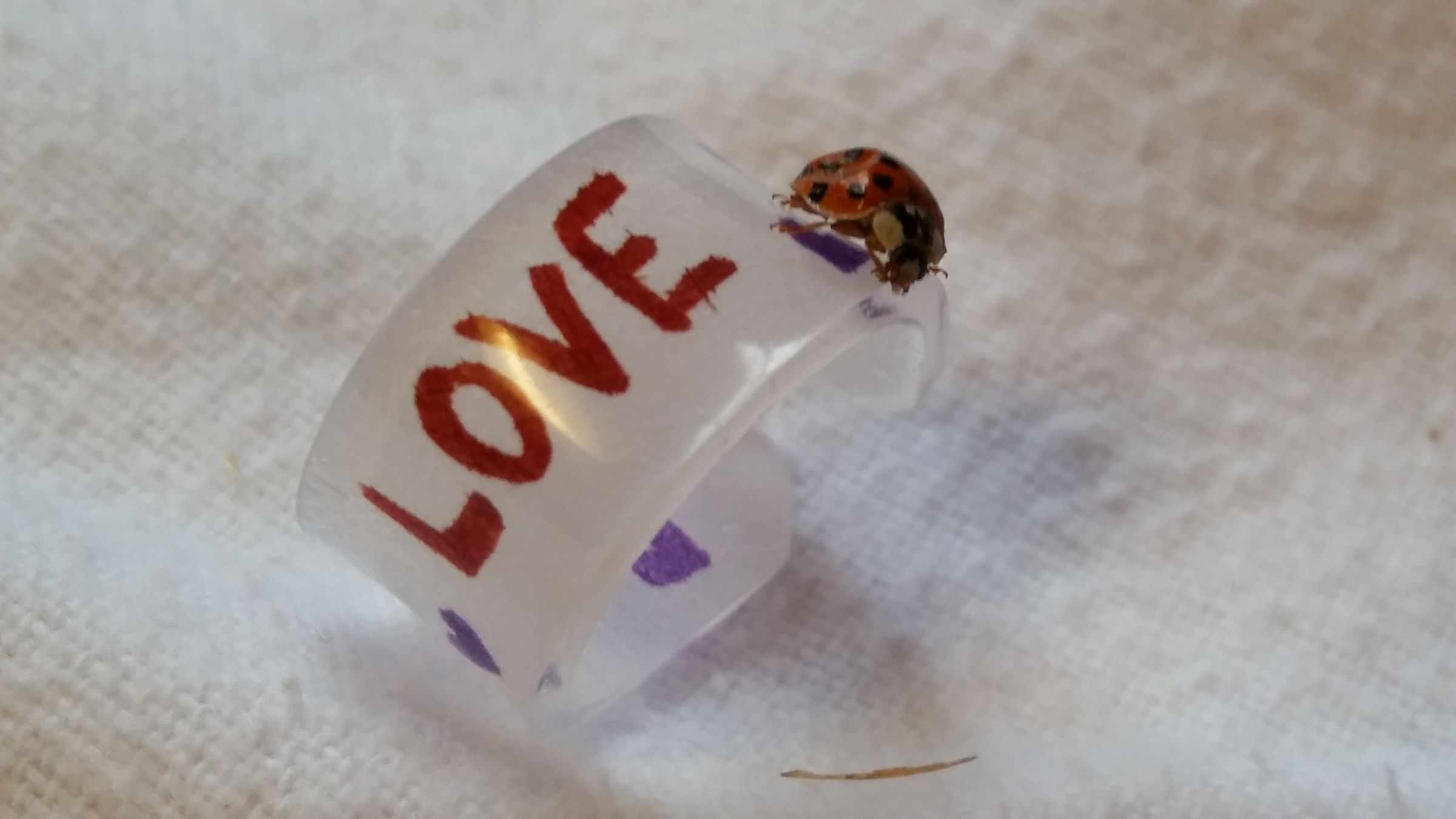 How to Make Shrinky Dink Rings