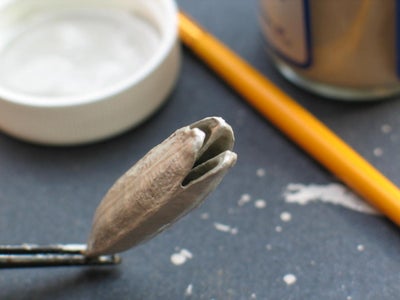 Electroforming an Iris Seed Pod