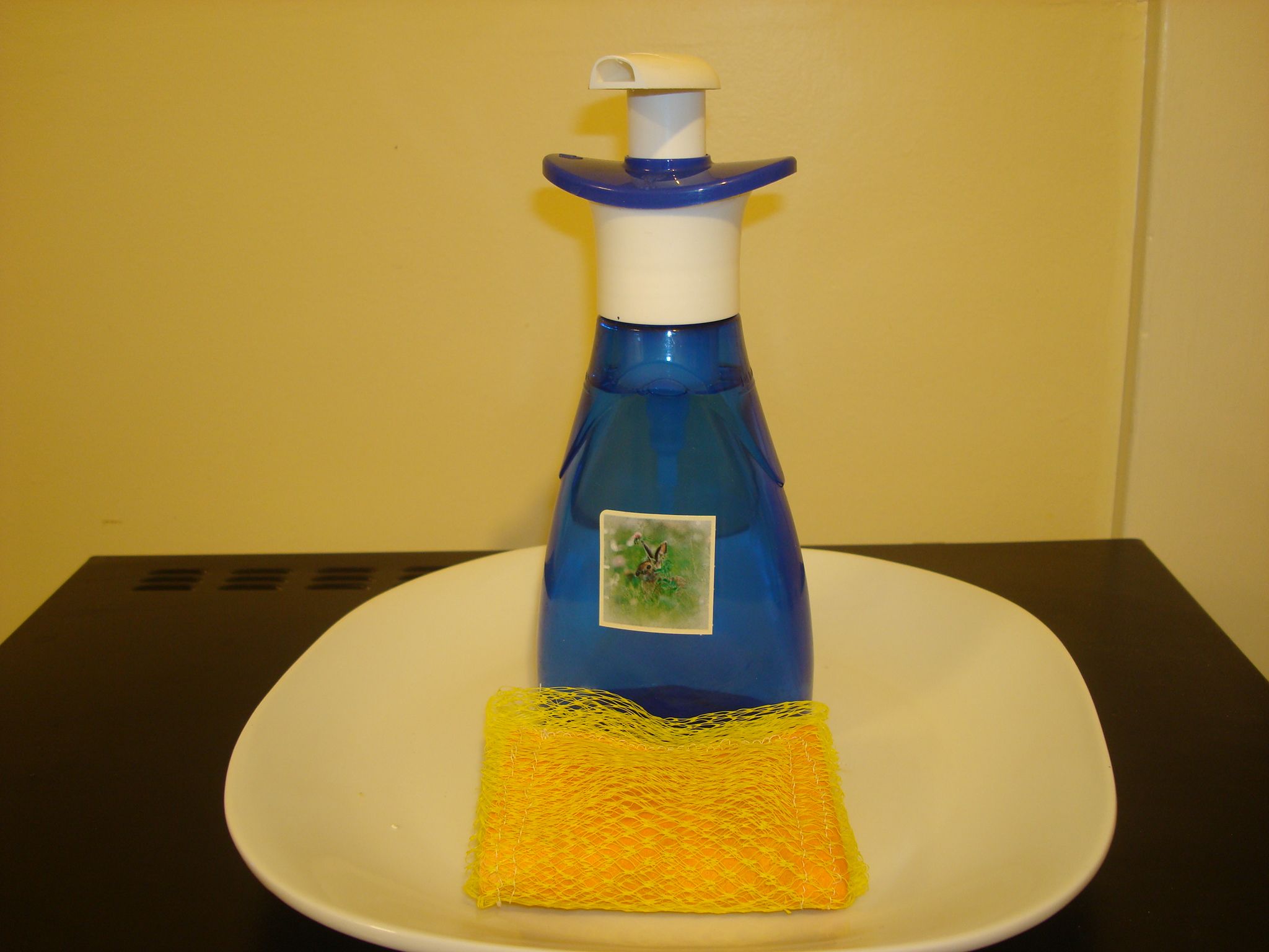Scrubber Sponge, Dish Soap Dispenser, Vase, and More.