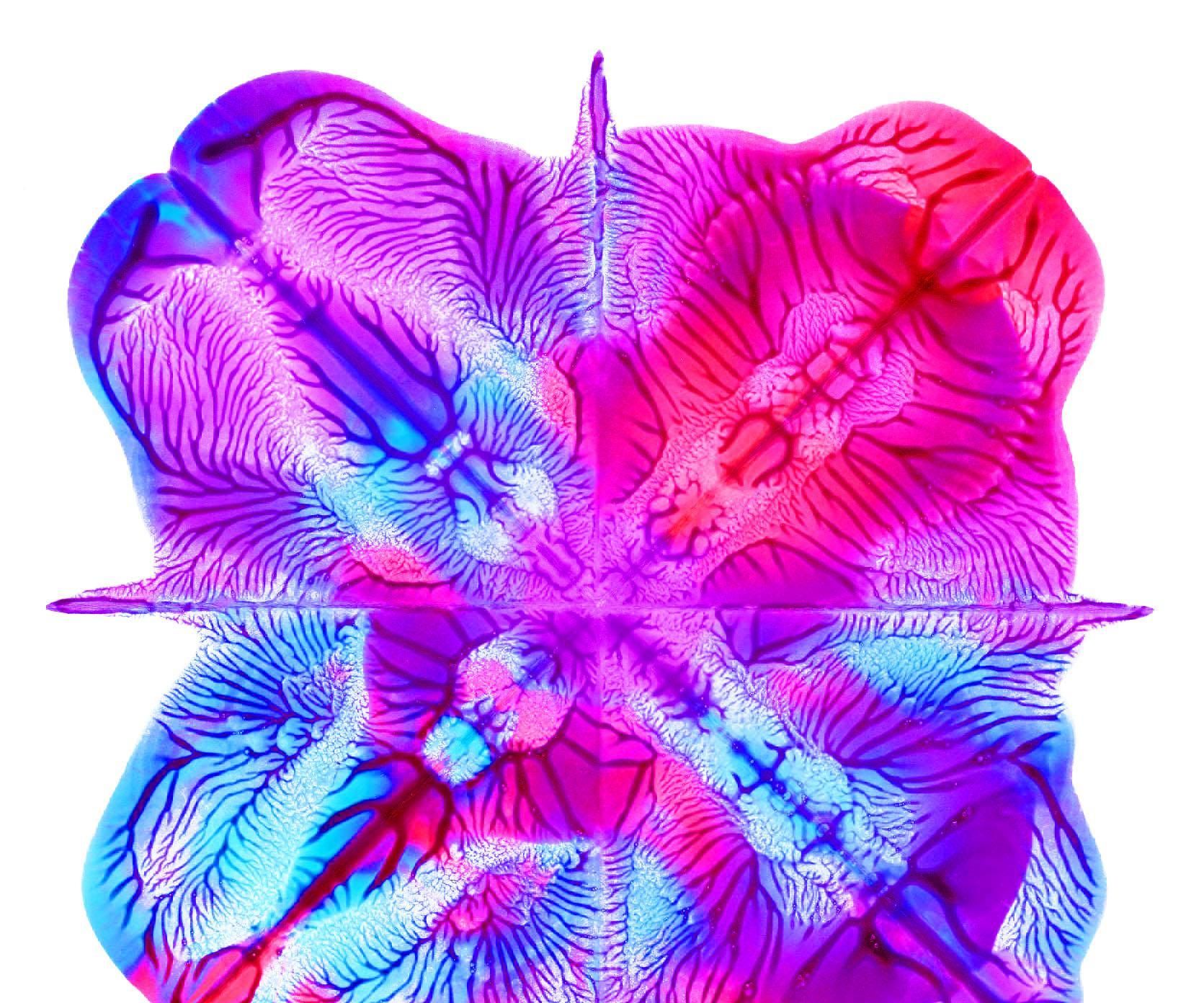 Squish Painting 