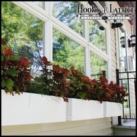 Self Watering Window Boxes, a Better Enhancements to Business Establishments