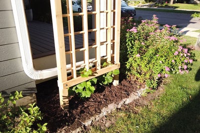 Sıkı Çalışmanızda eğlenin