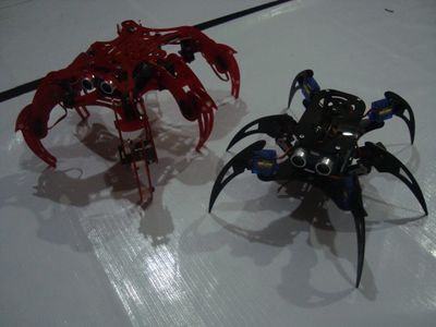 The Other Robot Project Using Acrilyc Frame