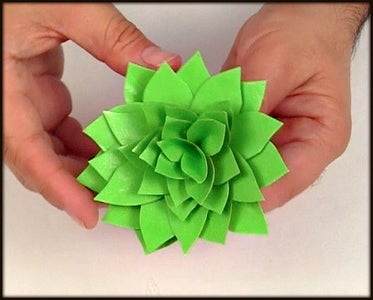 End With the Larger Leaves