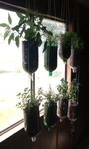 Recycle Your Soda Pop Into Hanging Planter