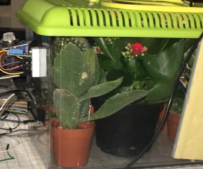 A Robot for the Analysis of Plant Respiration and for the Verification of the Phenomenon of Chlorophyll Photosynthesis With Arduino