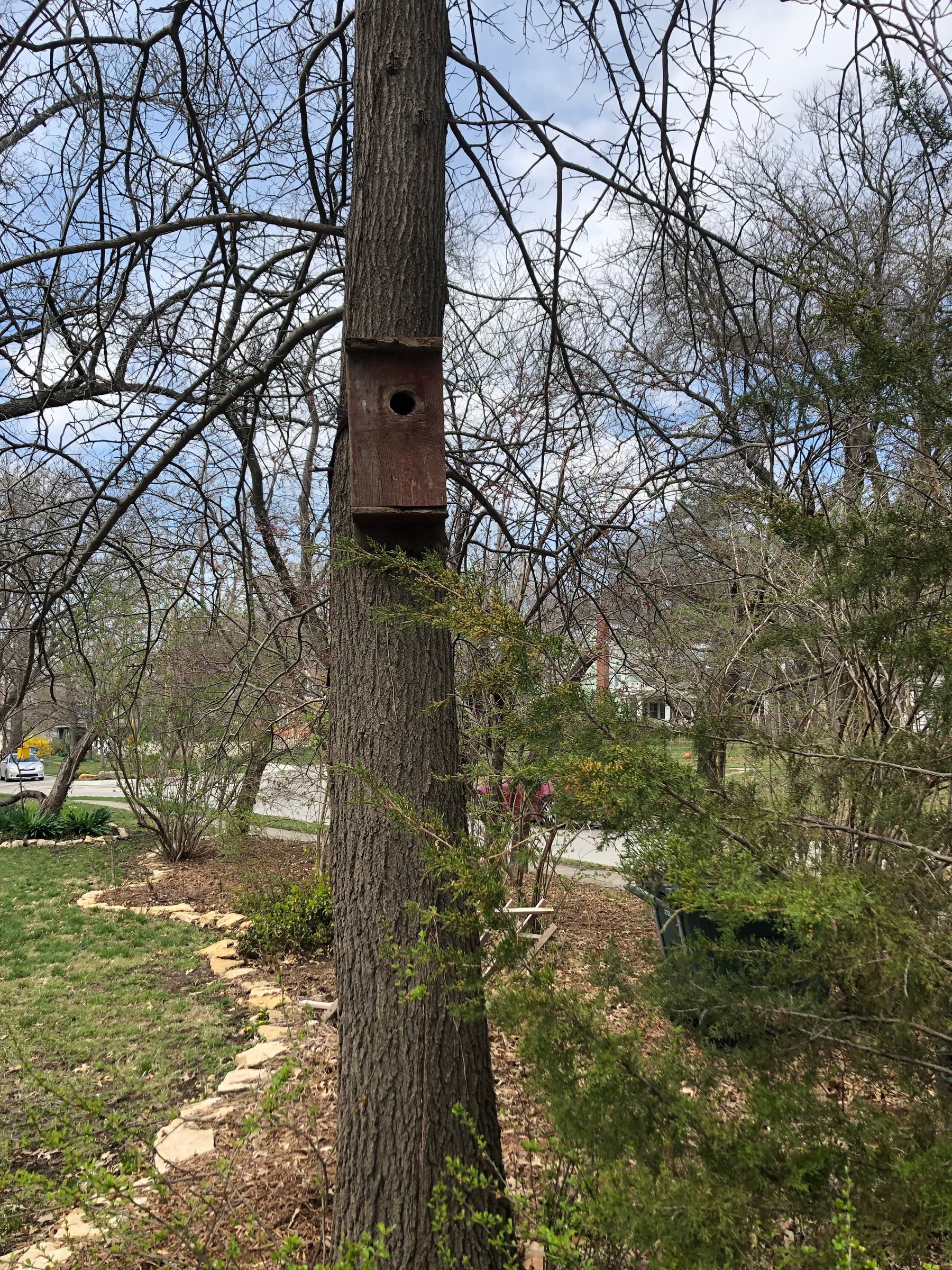 How to Attach a Birdhouse to a Tree Without Harming the Tree 4 Steps
