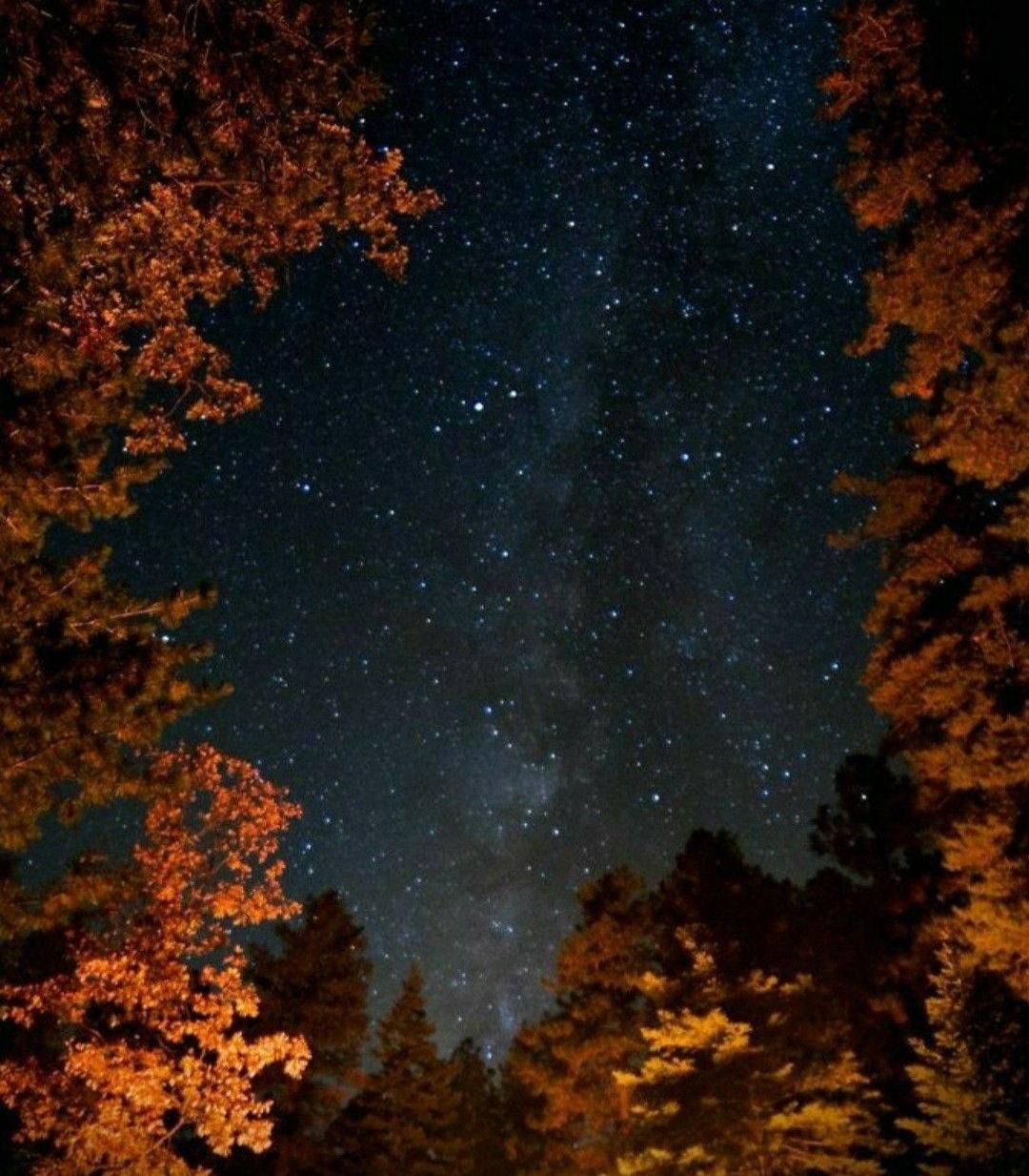 How to Tell the Hour by the Stars