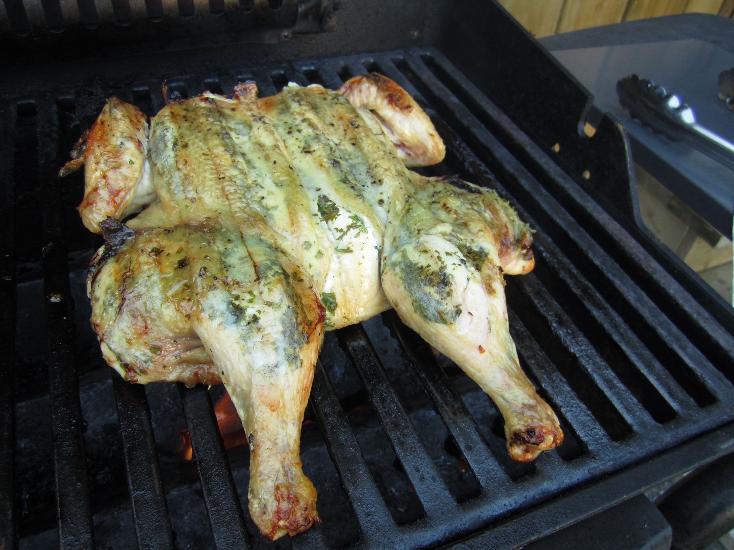 Herbed Chicken Under Bricks