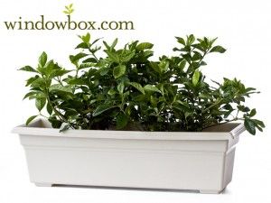 Window Box Liners Best Container Garden in the Market