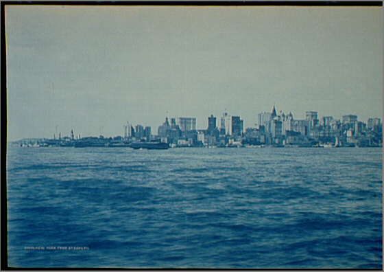 Cyanotypes - Super Easy Photo Prints at Home.