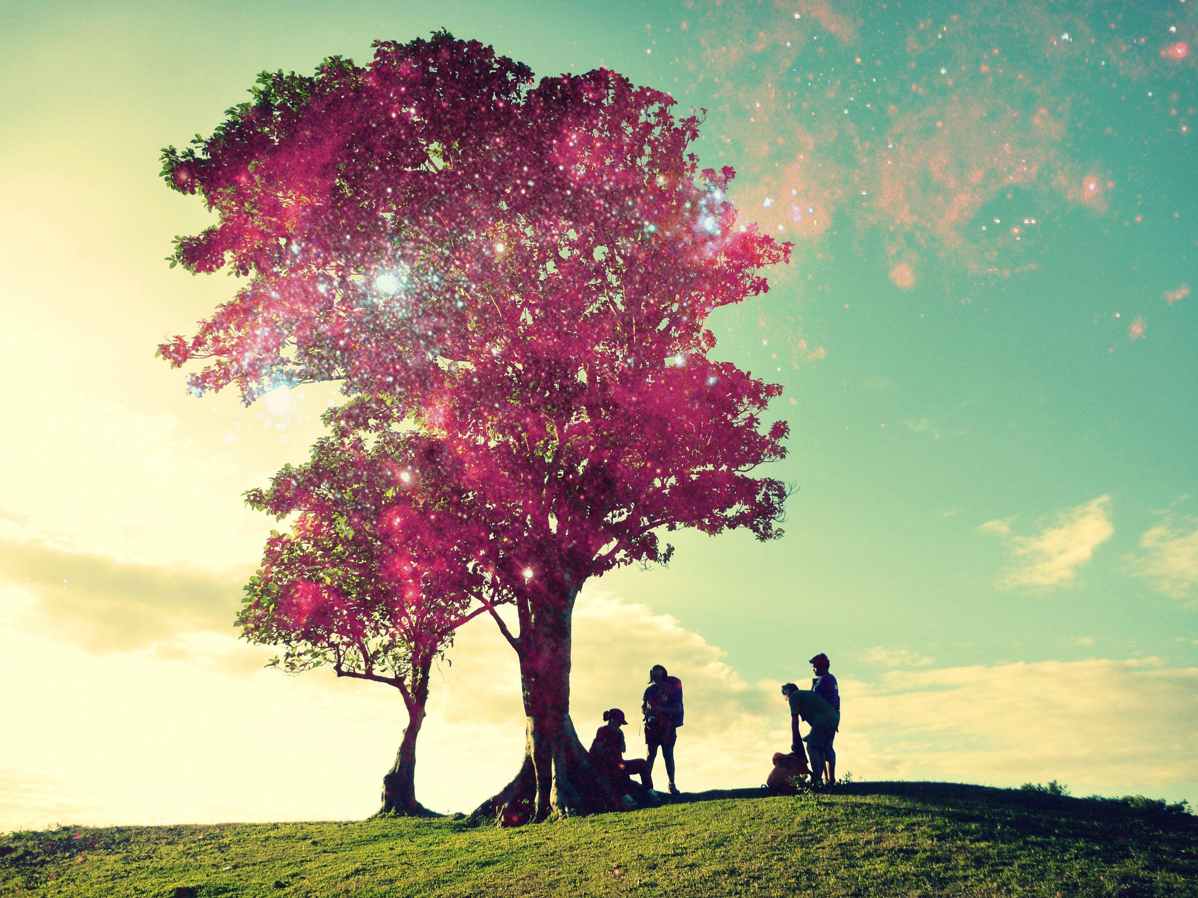 Make Your Images Interesting with Galaxy Overlay