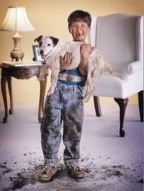 Local Carpet & Upholstery Steam Cleaning Services in Concord