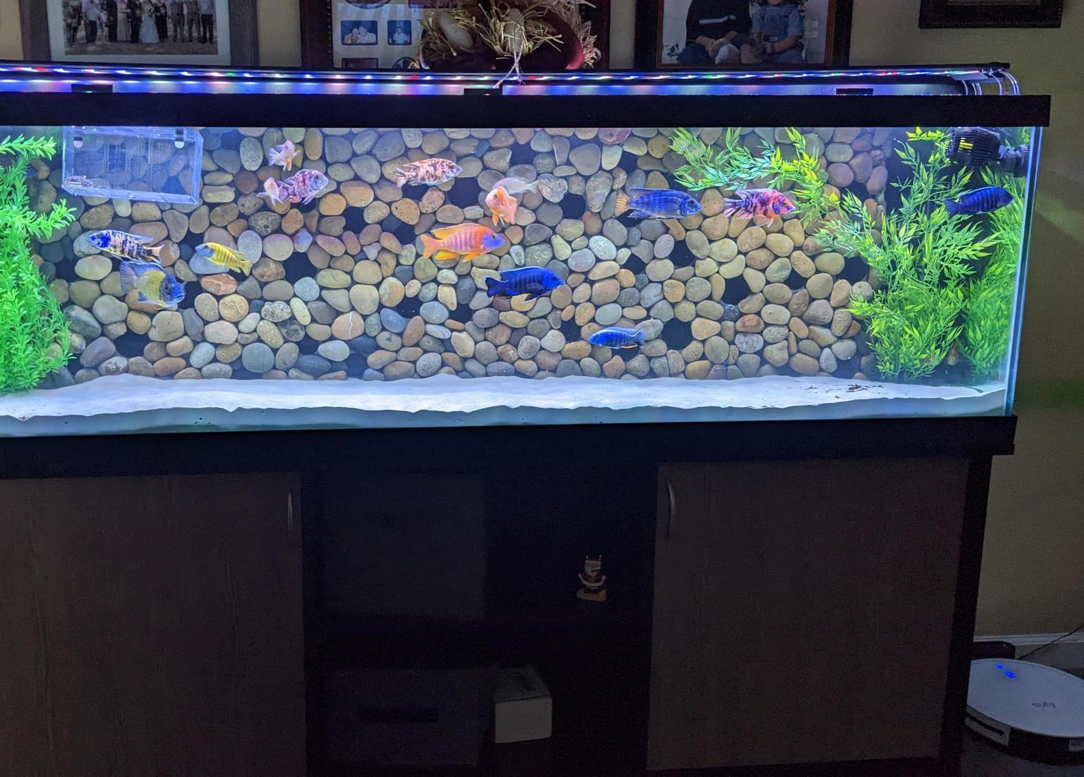 River Rock Cave Grotto Aquarium Background 7 Steps (with Pictures