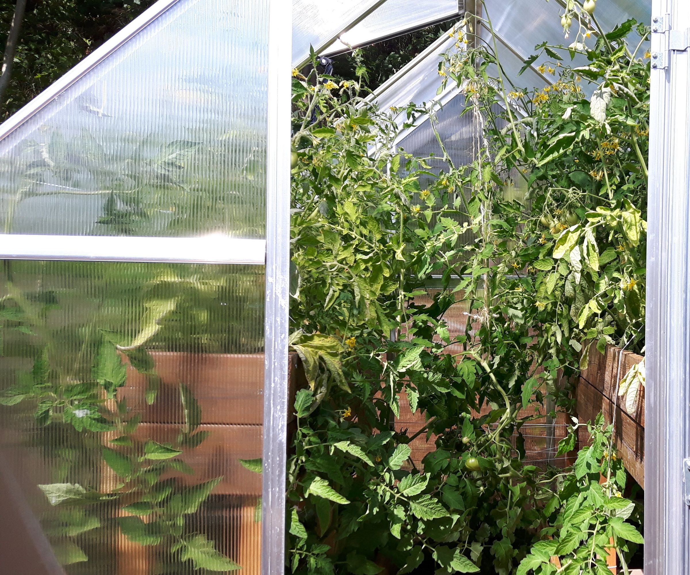 Double Layered Wooden Raised Beds for Small Greenhouse