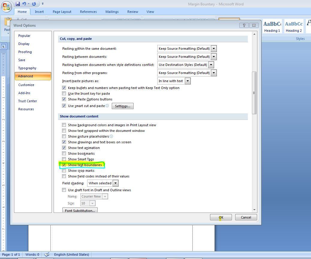 Add & Remove Margin Boundaries in Microsoft Word 2007