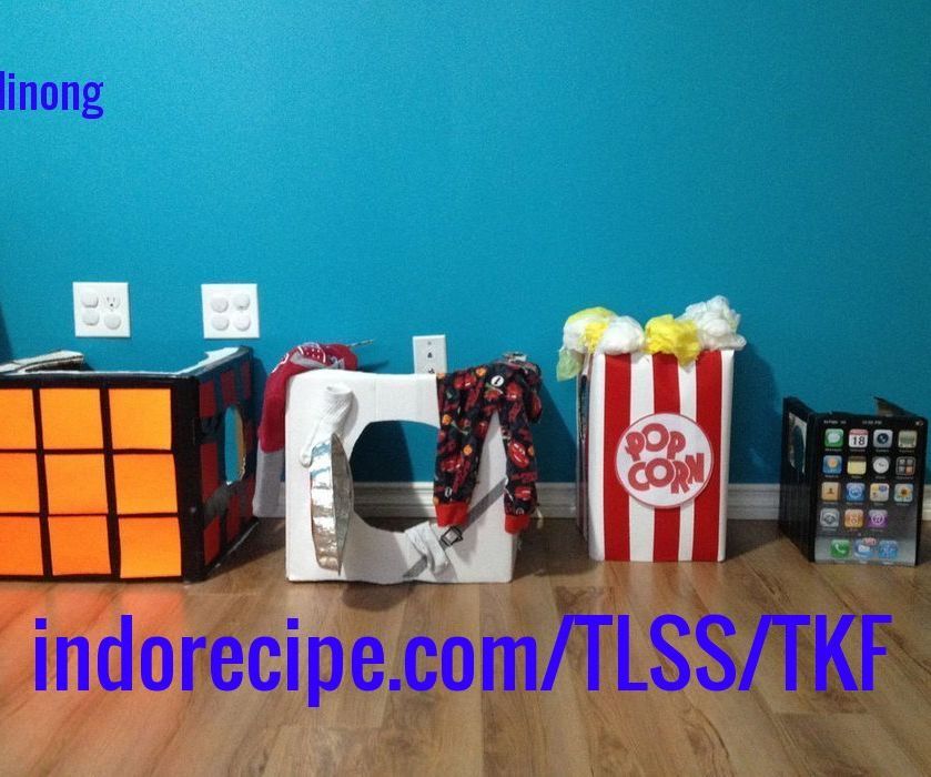 Cardboard Costumes for the Whole Family