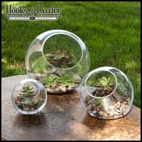 Air Plant Globes, a Nice Home DÃ©cor Made Just for You