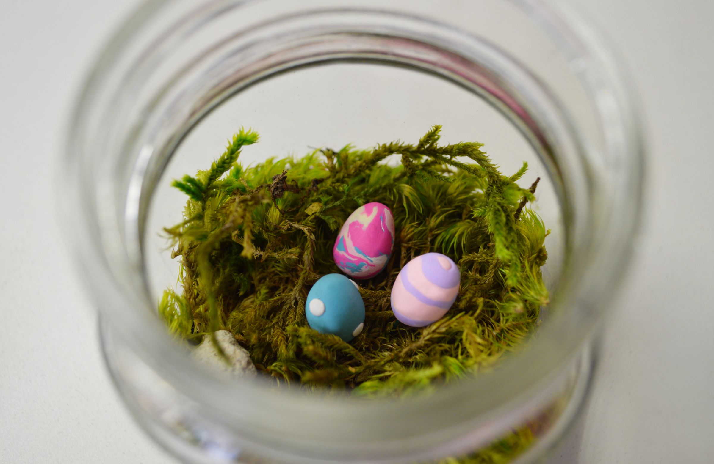 DIY Kit: Spring Terrarium