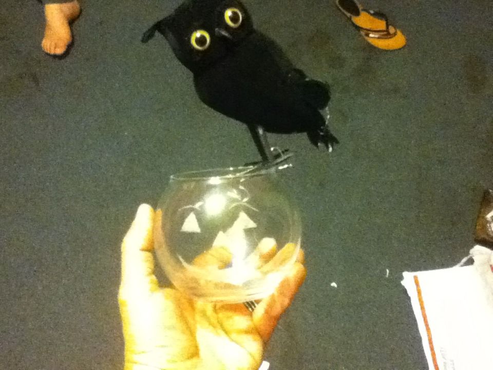 Glass O Lantern And Owl