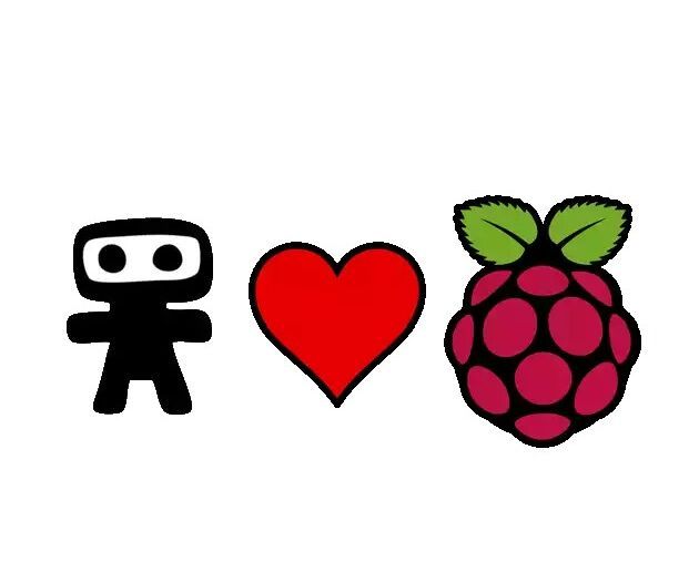 Raspberry Pi Thief Detector